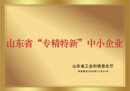 山東省“專精特新”中小企業(yè)