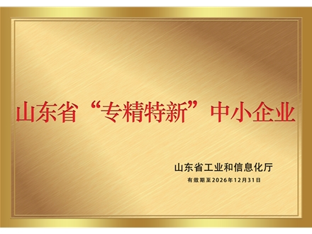 山東省“專精特新”中小企業(yè)